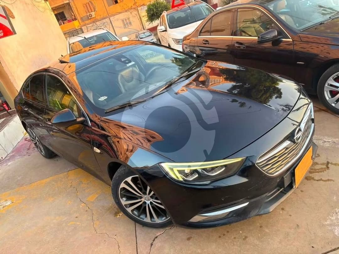 أوبل انسيجنيا 2019 - 19